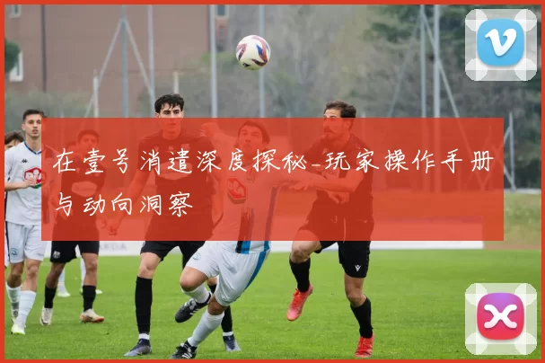 在壹号消遣深度探秘_玩家操作手册与动向洞察