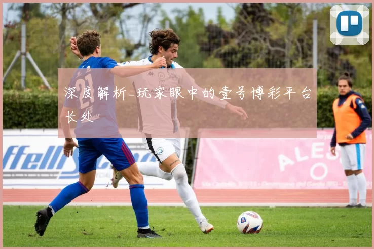 深度解析_玩家眼中的壹号博彩平台长处