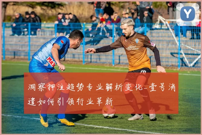 洞察押注趋势专业解析变化_壹号消遣如何引领行业革新