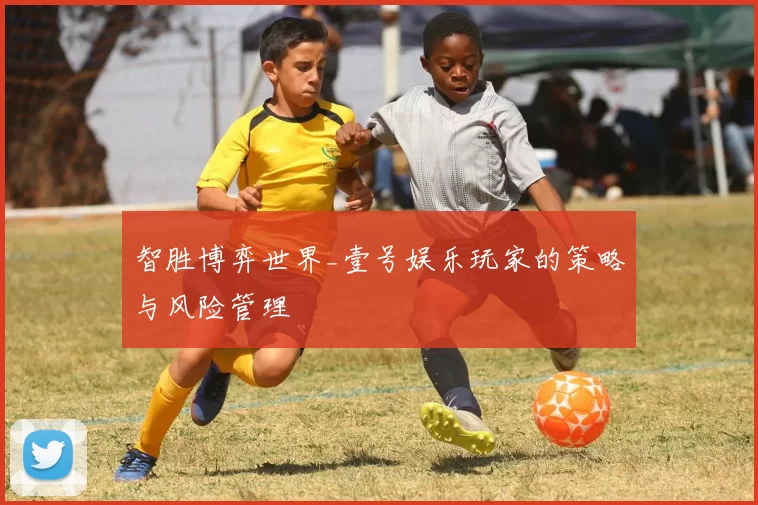 智胜博弈世界_壹号娱乐玩家的策略与风险管理