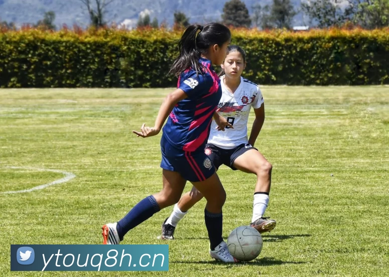 壹号娱乐APP 封面图